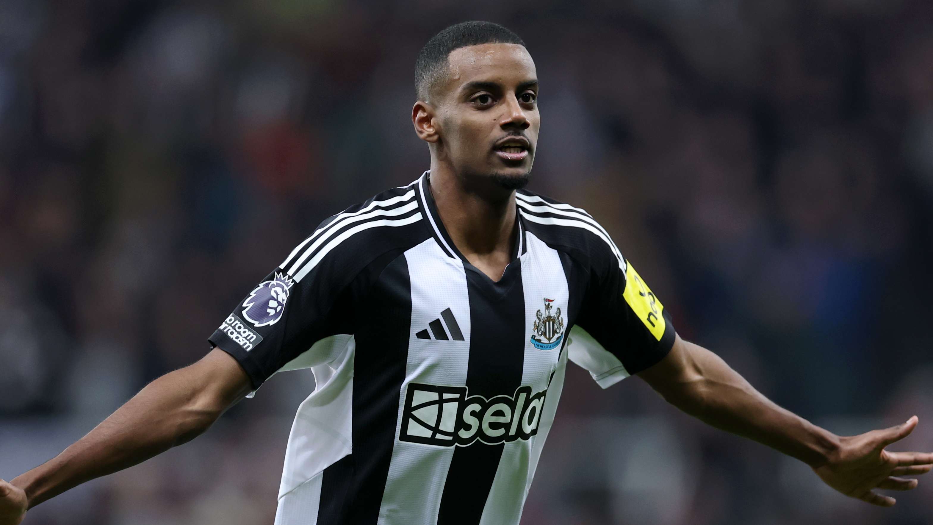 每当看到球 每当看到球